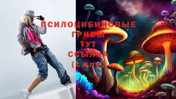 прущие крисы Беломорск
