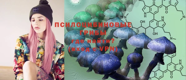прущие крисы Беломорск