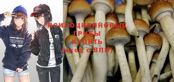прущие крисы Беломорск