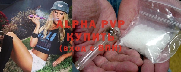 прущие крисы Беломорск